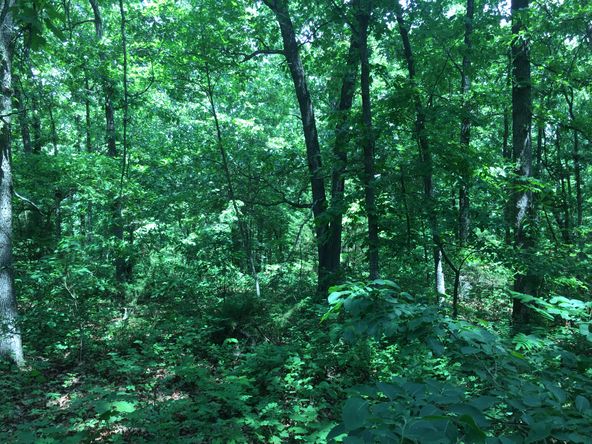 4897 & 4878 Norman Drive, Hartville, MO 65667
